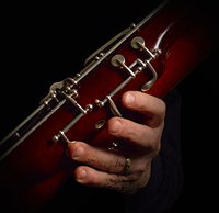 bassoon